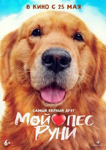 Постер к фильму премьере Мой пёс Руни (2023)